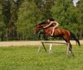 Click to view big image horse-riding-nude-woman.jpg